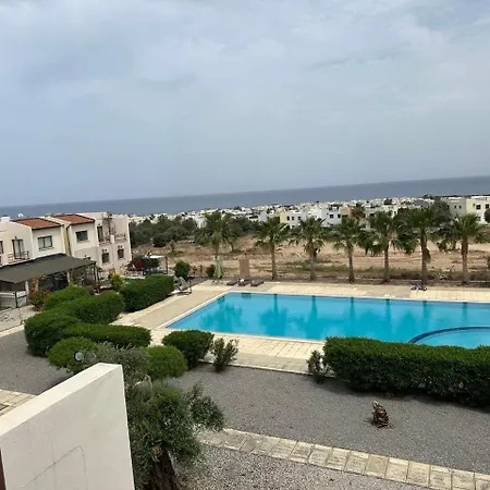 Queit Amazing Penthouse With Rooftop 360 ,pool , Beachfront And Bbq *