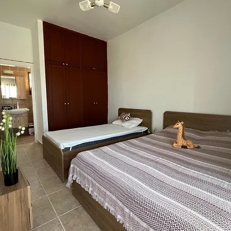 Queit Amazing Penthouse With Rooftop 360 ,pool , Beachfront And Bbq *